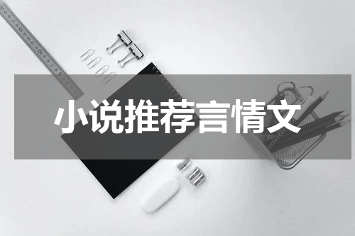 小说推荐言情文