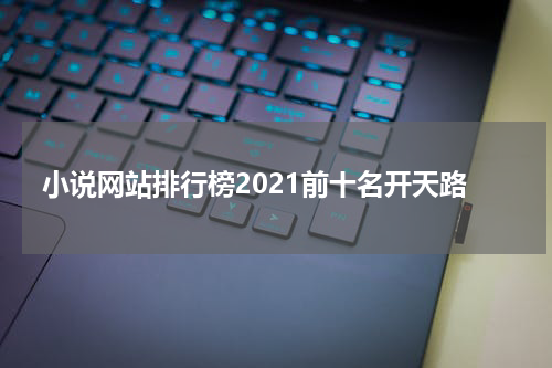 小说网站排行榜2021前十名开天路