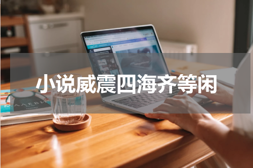 小说威震四海齐等闲