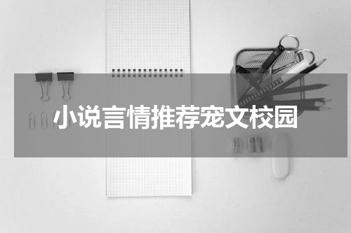 小说言情推荐宠文校园