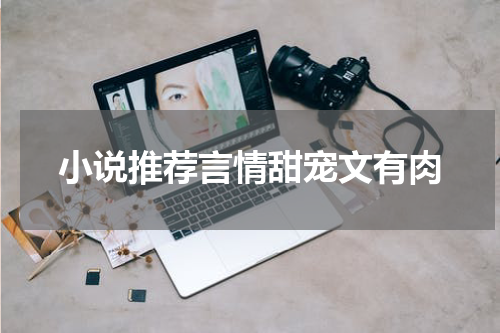 小说推荐言情甜宠文有肉