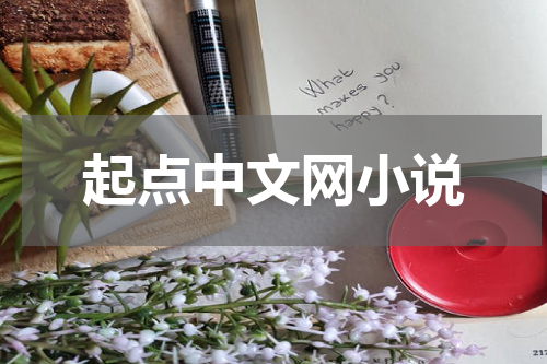 起点中文网小说