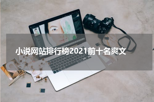 小说网站排行榜2021前十名爽文
