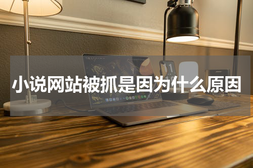 小说网站被抓是因为什么原因
