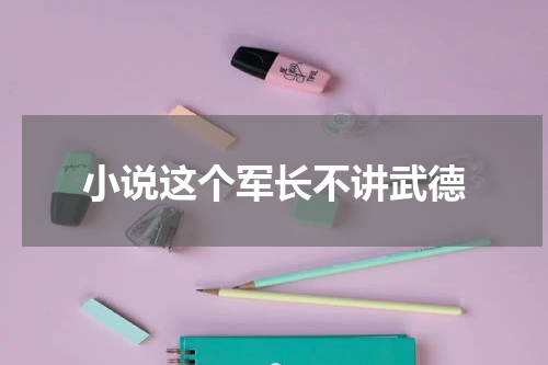 小说这个军长不讲武德