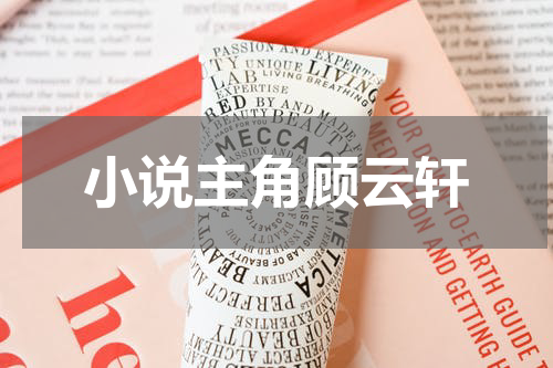 小说主角顾云轩