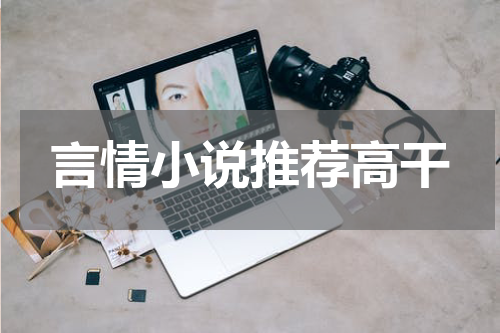言情小说推荐高干