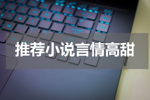 推荐小说言情高甜