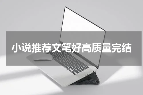 小说推荐文笔好高质量完结