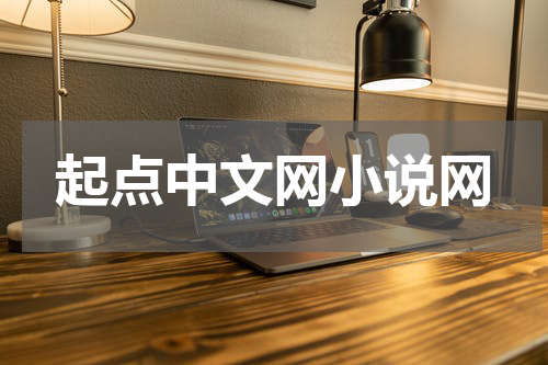 起点中文网小说网