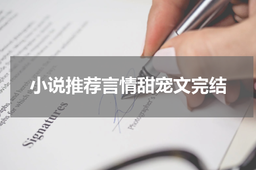 小说推荐言情甜宠文完结