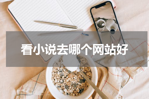 看小说去哪个网站好