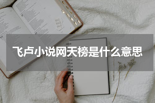 飞卢小说网天榜是什么意思