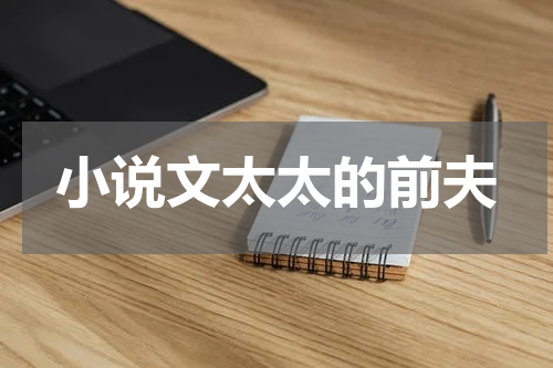 小说文太太的前夫