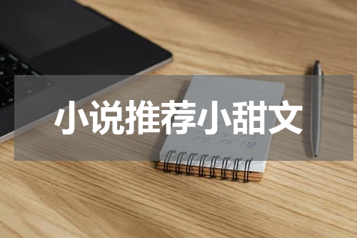 小说推荐小甜文