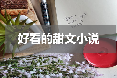 好看的甜文小说