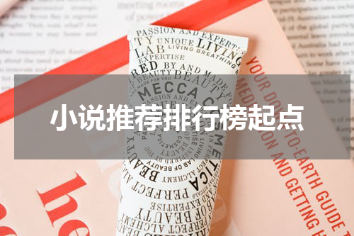 小说推荐排行榜起点