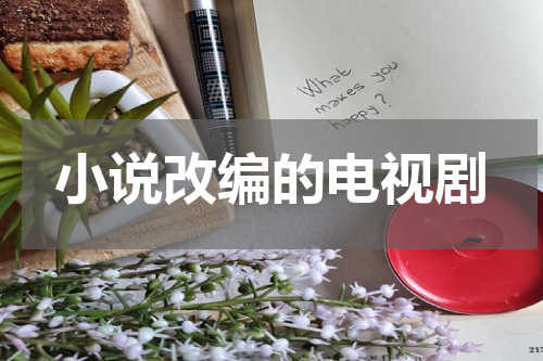 小说改编的电视剧