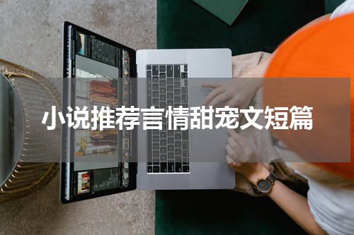小说推荐言情甜宠文短篇