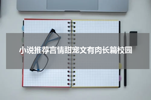 小说推荐言情甜宠文有肉长篇校园