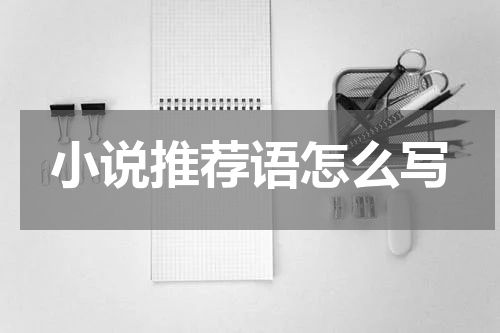 小说推荐语怎么写