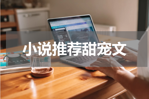 小说推荐甜宠文