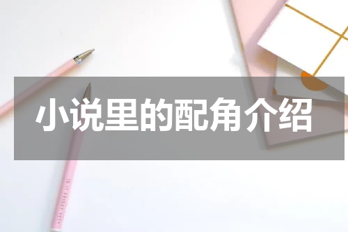 小说里的配角介绍