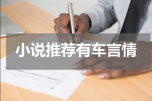 小说推荐有车言情