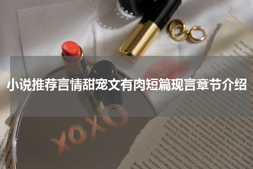 小说推荐言情甜宠文有肉短篇现言章节介绍