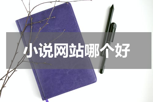 小说网站哪个好