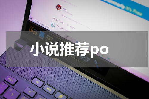 小说推荐po