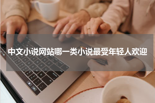 中文小说网站哪一类小说最受年轻人欢迎