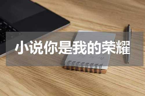 小说你是我的荣耀