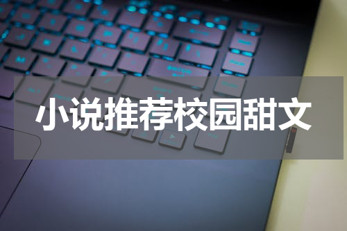小说推荐校园甜文