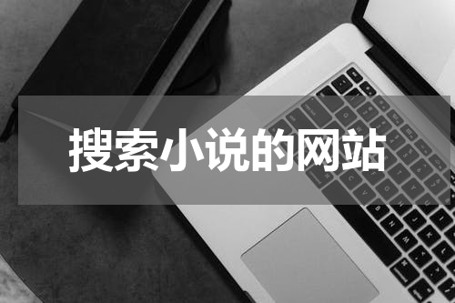 搜索小说的网站