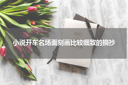 小说开车名场面刻画比较细致的摘抄