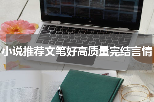 小说推荐文笔好高质量完结言情