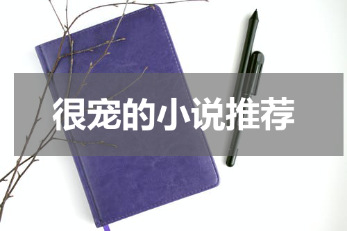 很宠的小说推荐