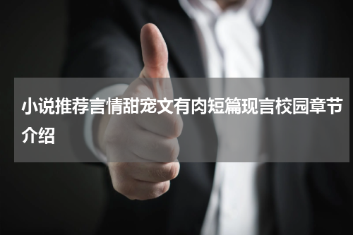 小说推荐言情甜宠文有肉短篇现言校园章节介绍