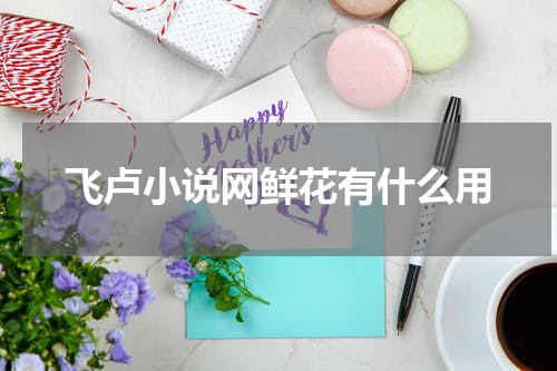 飞卢小说网鲜花有什么用