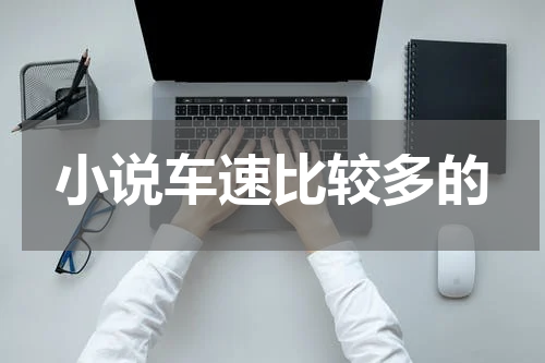 小说车速比较多的