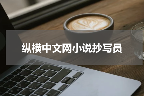纵横中文网小说抄写员