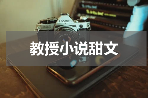 教授小说甜文