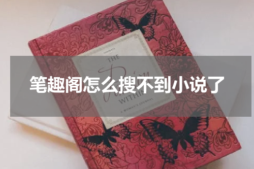 笔趣阁怎么搜不到小说了