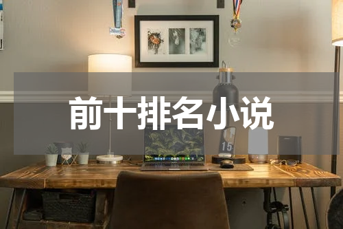 前十排名小说