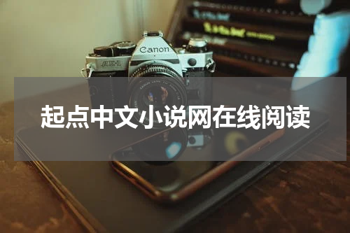 起点中文小说网在线阅读