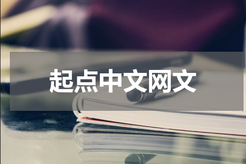 起点中文网文