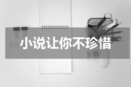 小说让你不珍惜