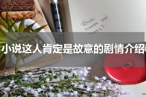 小说这人肯定是故意的剧情介绍