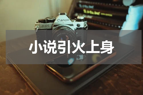小说引火上身